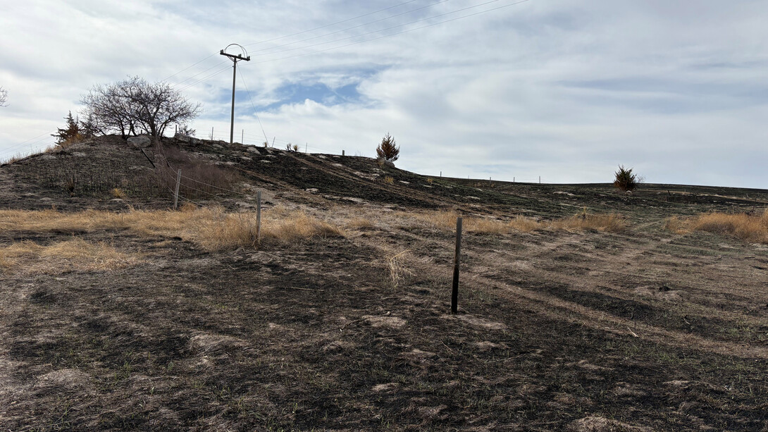 Drought Workshops