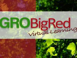 GRO Big Red Virtual Learning