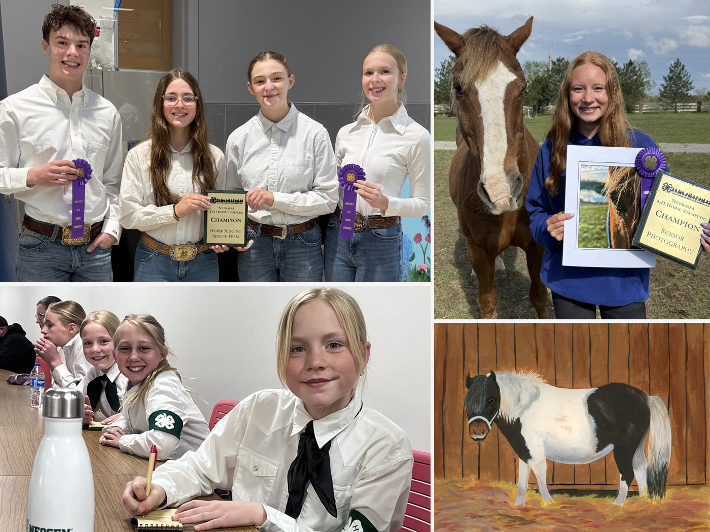 Photo collage of Lancaster County 4-H youth participating in the statewide Stampede