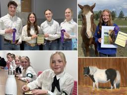 Photo collage of Lancaster County 4-H youth participating in the statewide Stampede