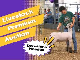4-H & FFA Purple Ribbon Market Livestock Premium Auction donations needed