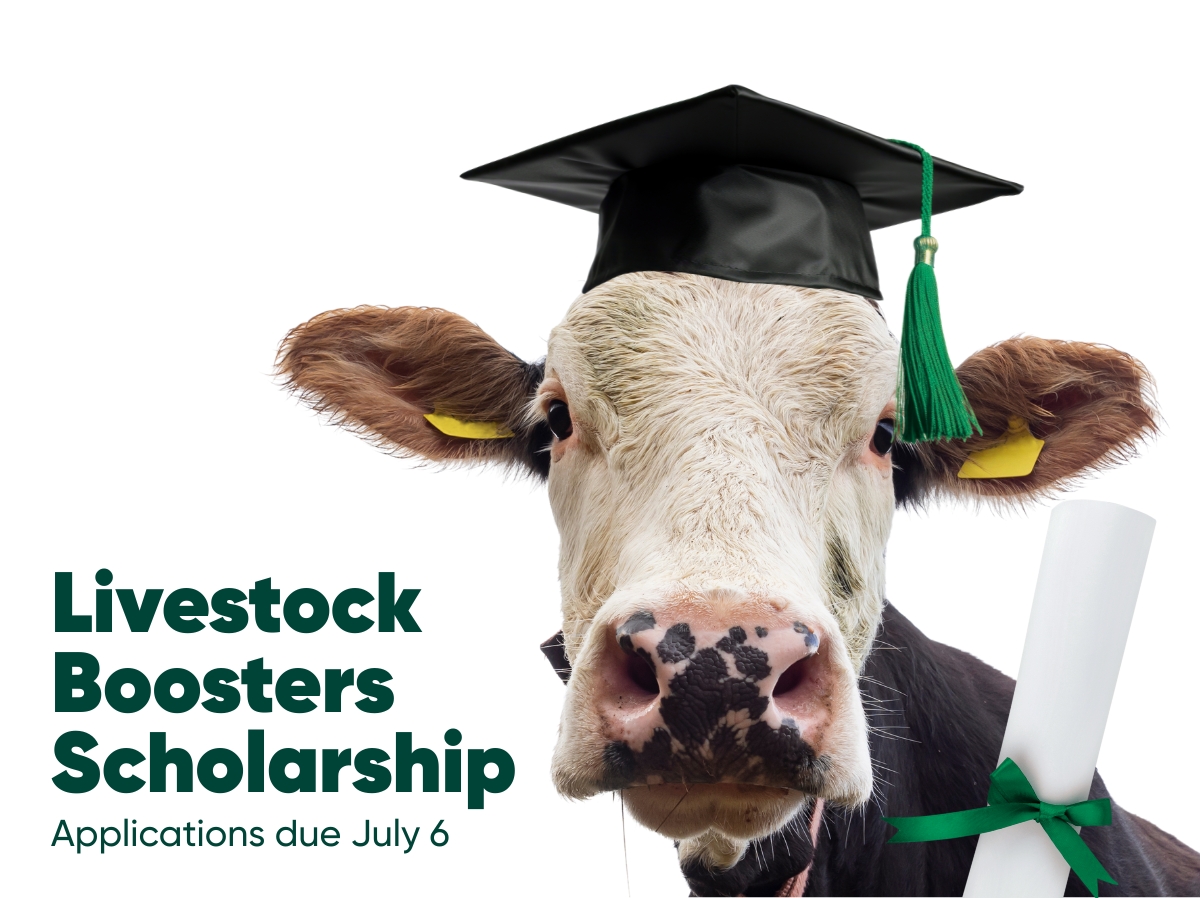 Livestock Boosters Scholarship applications due July 6