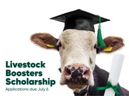 Livestock Boosters Scholarship applications due July 6