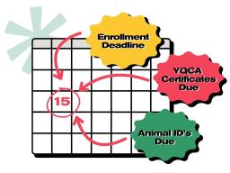 June 15 is the 4-H enrollment deadline, YQCA certificates are due and animal ID's due