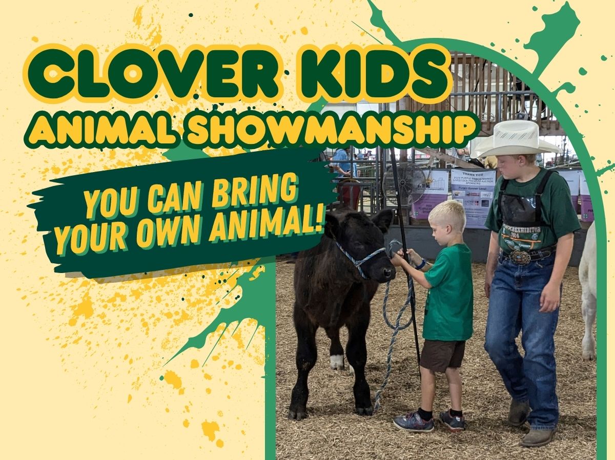 Clover Kids Animal Showmanship. You can bring your own animal!