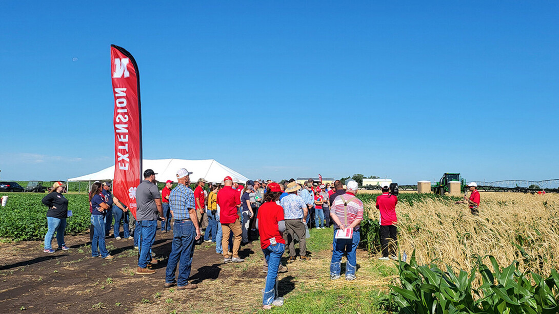 Nebraska Extension&rsquo;s annual Weed Management Field Day returns June 24 with field tours focused on Palmer amaranth control, precision spraying technology, volunteer corn management and herbicide program comparisons.