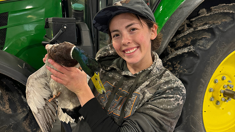 Maddy Vasquez handles a drake mallard while helping another student on a duck migration project in Kansas in November 2024. 