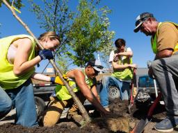 Members of the Downtown Lincoln Association's Green Team plant saplings in newly built beds along 18th Street, just south of O Street. The beds and trees were funded by a PlantNebraska urban and community forestry grant.
