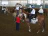 Horse 4-H Awards Night presentation includes Incentive Awards, Horsemanship Levels, Horse Course Challenge, All-Around Awards, Herdsmanship, Top County Fair Judging buckles and ribbons, and a few surprise awards! 