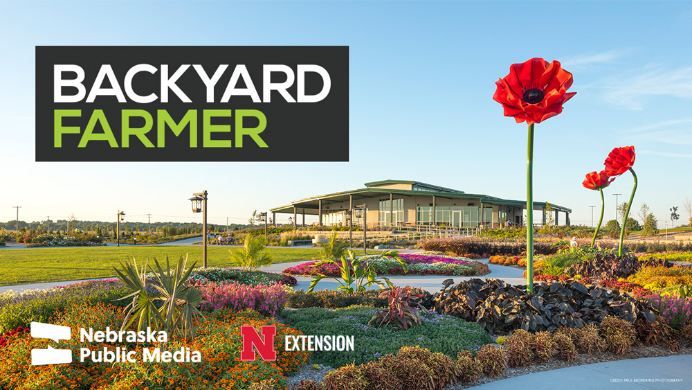&ldquo;Backyard Farmer&rdquo; invites the public to attend a recording of an episode June 16 at the lakeside Yanney Heritage Park in Kearney, Nebraska. Nebraska Public Media