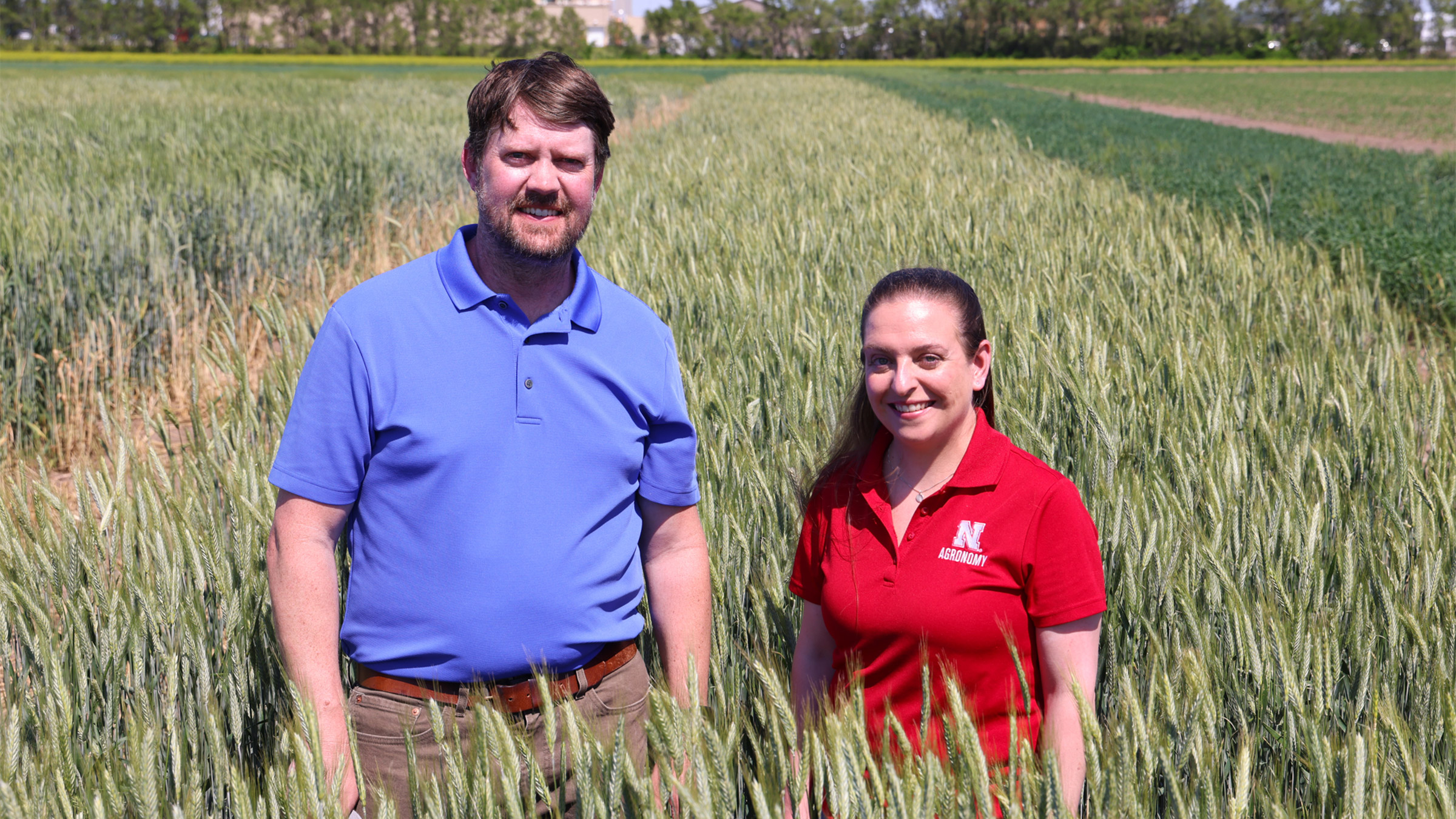 Nathan Mueller and Katherine Frels examine growth of NT Pronto, a new Husker-developed triticale variety, at the university&rsquo;s Havelock Farm complex in northeast Lincoln. Russell Shaffer | IANR Communications