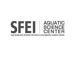 SEFI Logo
