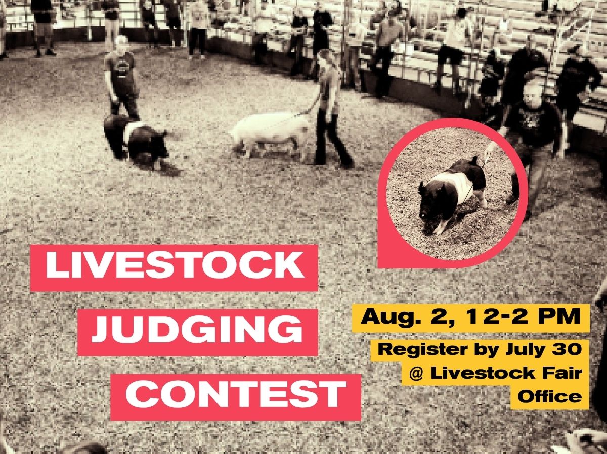 Livestock Judging Contest on Aug. 2, 12-2 p.m. | Register at the Livestock Fair Office by July 30