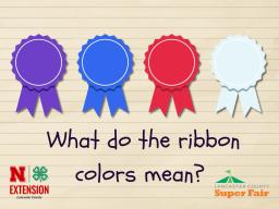 What do the ribbon colors mean?