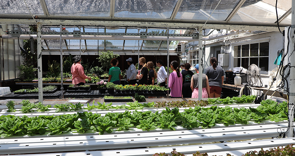 Christine Barta, plant systems learner and partnership engagement coordinator in the Department of Agronomy and Horticulture, leads students through the hydroponics greenhouse