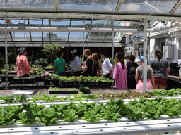 Christine Barta, plant systems learner and partnership engagement coordinator in the Department of Agronomy and Horticulture, leads students through the hydroponics greenhouse