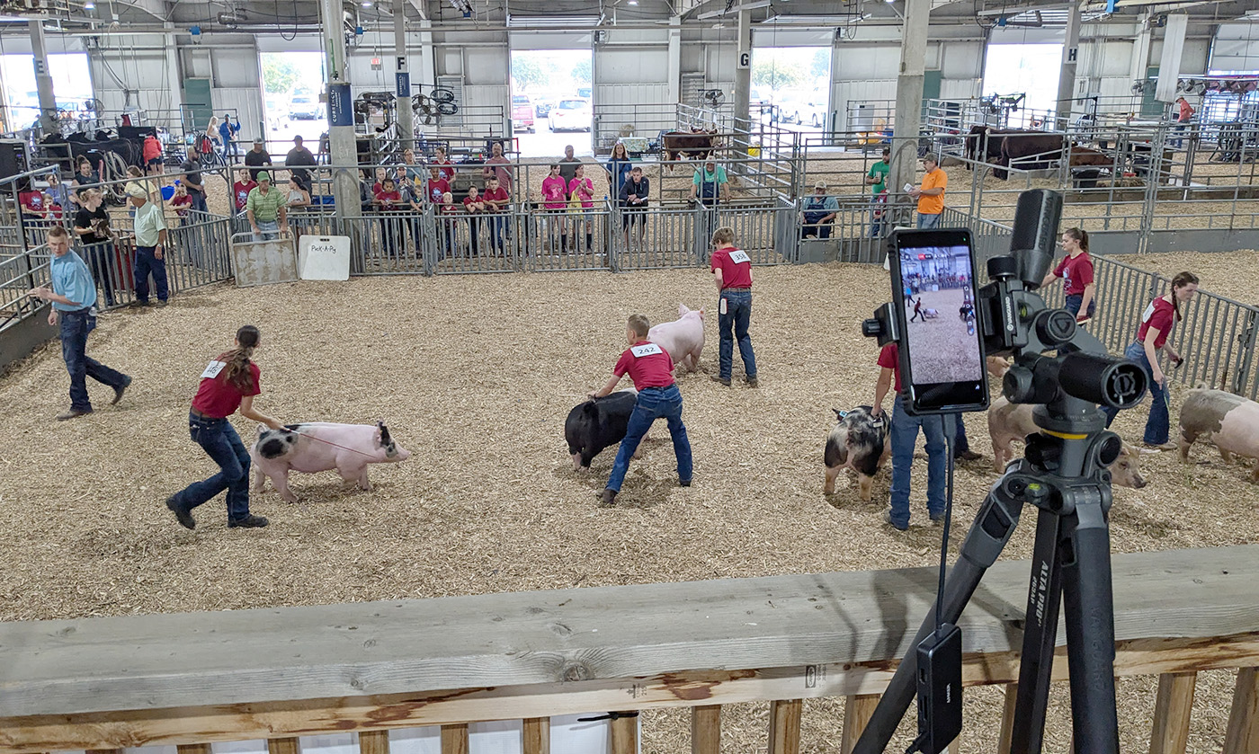 Livestreaming the 4-H & FFA Swine Show at the 2025 Lancaster County Super Fair