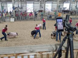 Livestreaming the 4-H & FFA Swine Show at the 2025 Lancaster County Super Fair