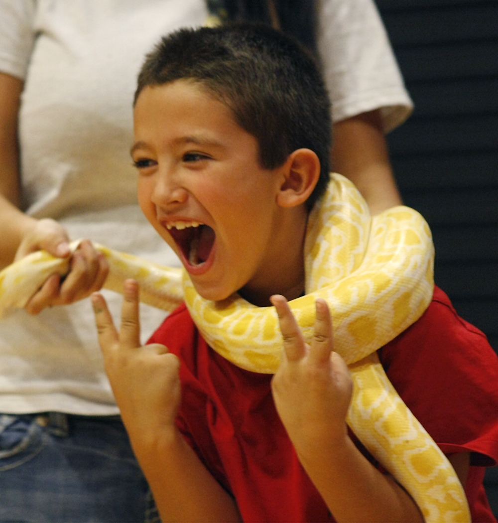 A young guest has a close encounter with an albino Burmese Python.