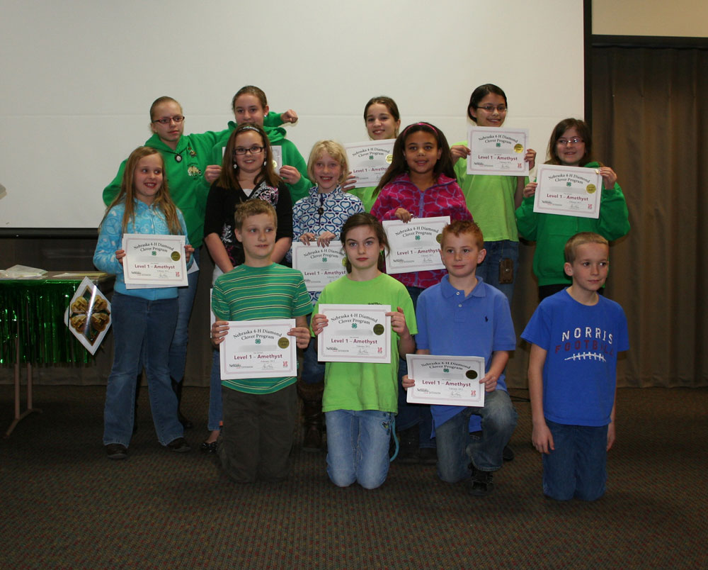 The Nebraska 4-H Diamond Clover Award consists of six levels that require a 4-H member to plan and report a broad range of age-appropriate accomplishments. 