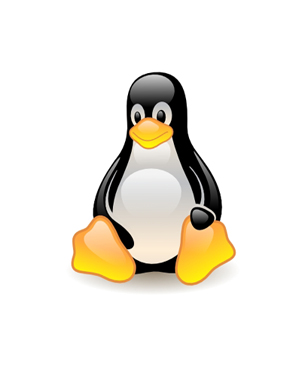 Gain experience by working with Linux