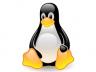 Gain experience by working with Linux