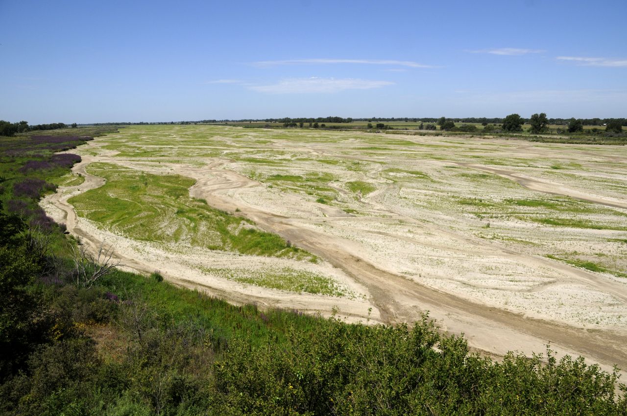 A view of the Audubon Society's Rowe Sanctuary on July 20, 2012. The camera looks down on the central Platte near Kearney. (Photo by the Platte Basin Time-Lapse Project.)