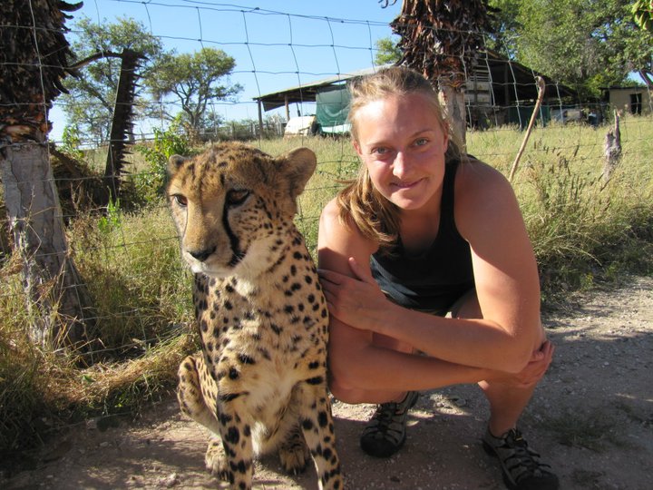 Katherine Lawry, now a graduate student at UNL's School of Natural Resources, is seen here with a cheetah during a study-abroad trip to Namibia, Africa in 2011. (Photo courtesy)