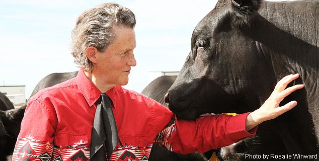 Temple Grandin will present the Jan. 15 Heuermann Lecture