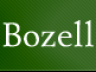 Bozell internships