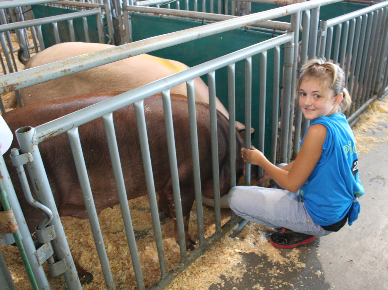 The Pick-A-Pig club gives youth ages 8 and up the opportunity to participate in a livestock project. 