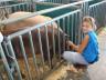 The Pick-A-Pig club gives youth ages 8 and up the opportunity to participate in a livestock project. 