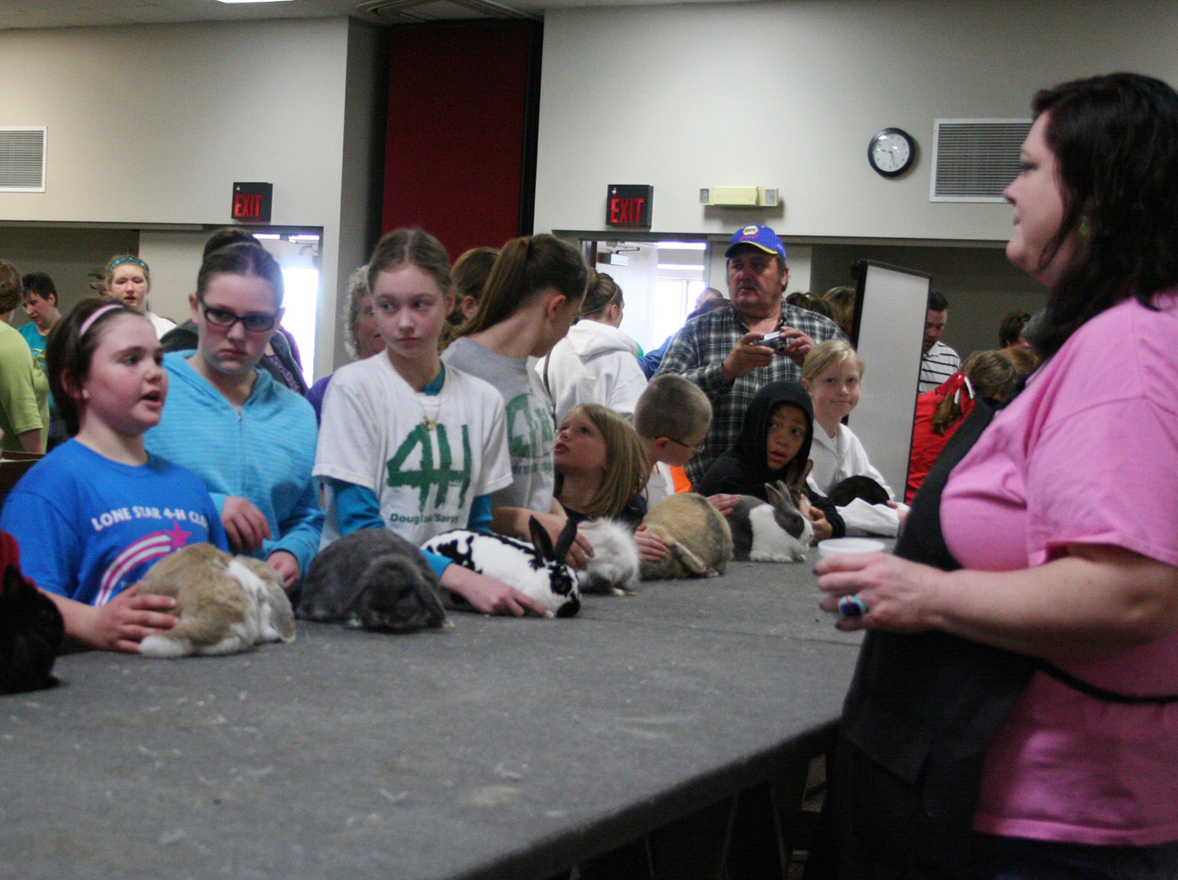 In showmanship classes, youth are judged on presentation and knowledge of animal. In rabbit classes, the rabbits are judged.