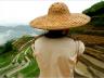 A farmer at the Longji rice terraces in “China Revealed,” a documentary by Discovery.