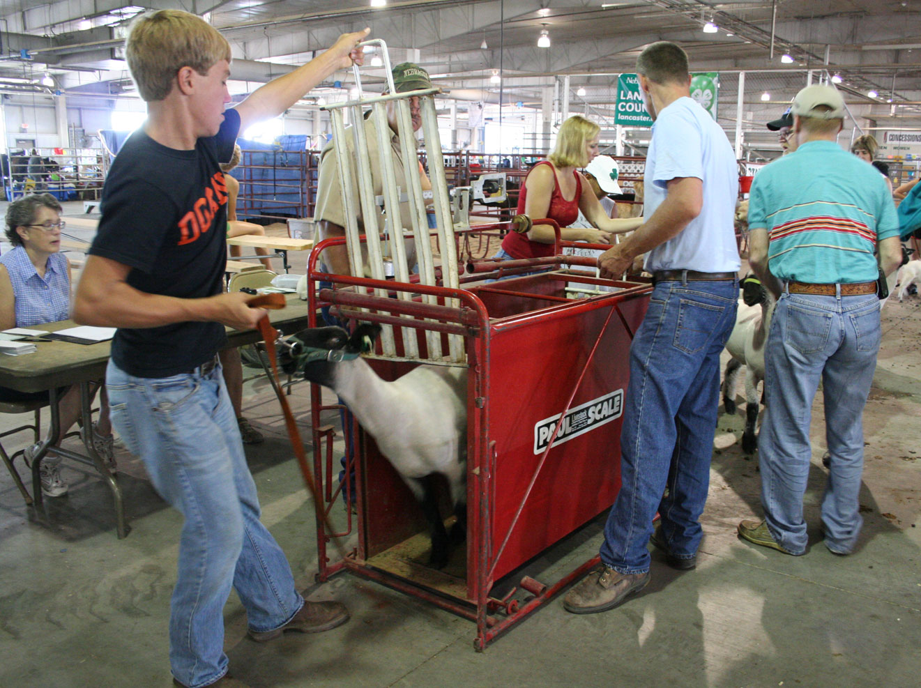 4-H/FFA members exhibiting market sheep need to have their lambs officially tagged and weighed on May 2.