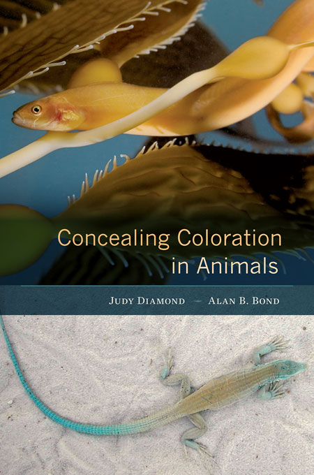 "Concealing Coloration in Animals" is a new book written by UNL's Judy Diamond and Alan Bond.