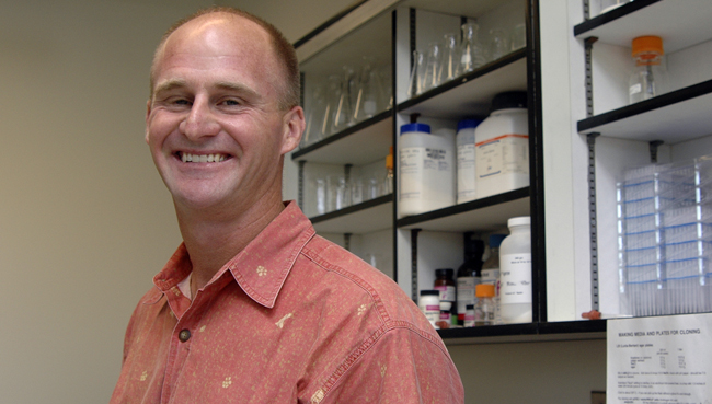 Jay Storz was named Susan J. Rosowski Associate Professor of Biological Sciences. He and six other UNL faculty members will be honored April 14. 