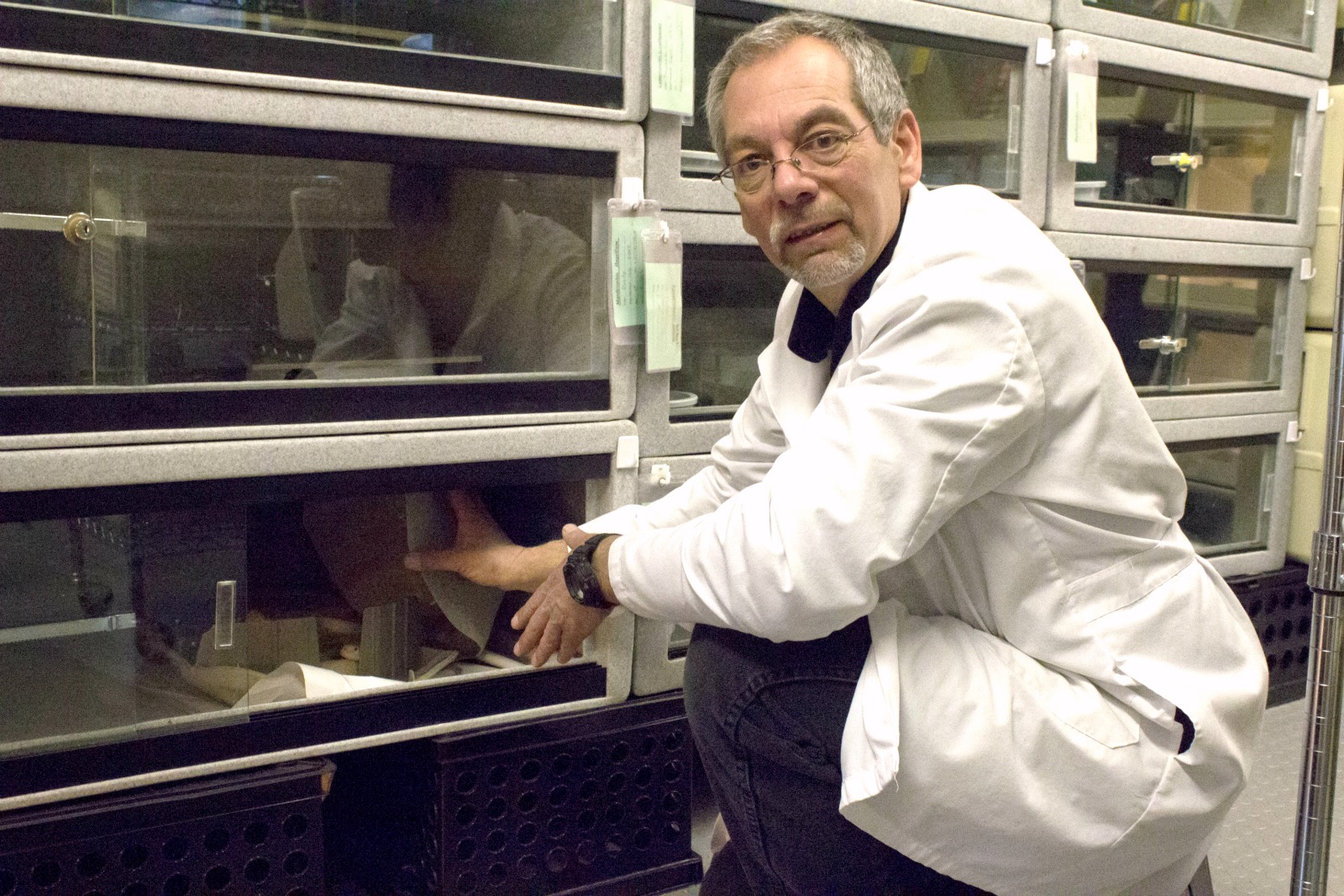 Dennis Ferraro shows the lab's albino bull snake.