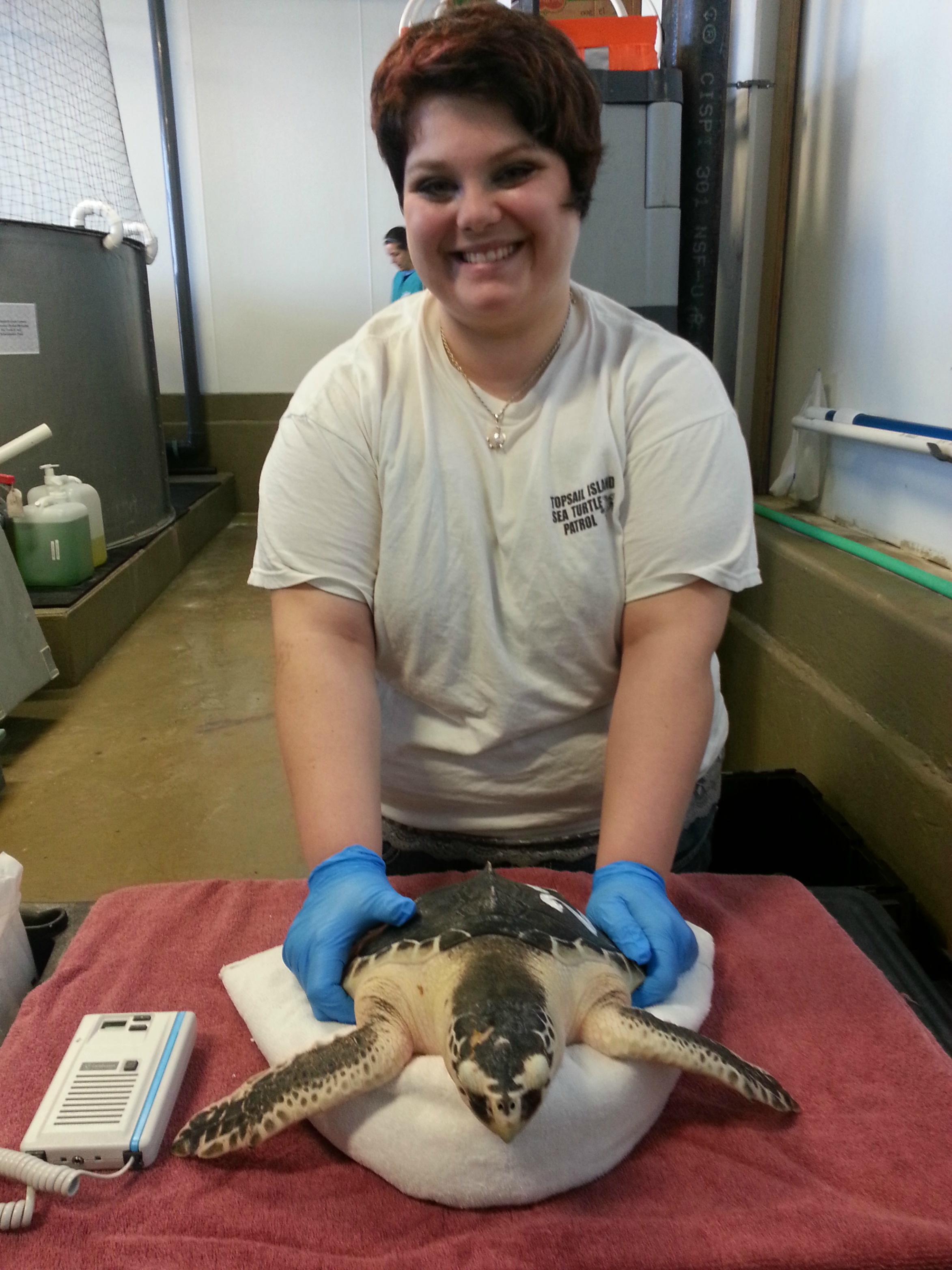Brie Myre holding a Kemp's Ridley sea turtle at the National Marine Life Center during a veterinary examination.