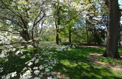 1005_Arboretum.jpg