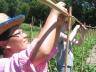 First-year grower Baoxia and AmeriCorps member Margaret install a bamboo trellis at the Community CROPS training farm.