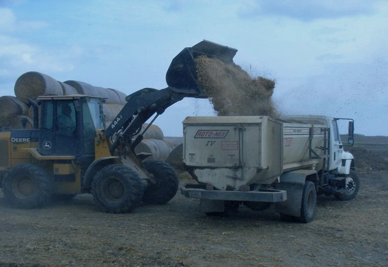 Calcium oxide treated forage.  Photo courtesy of Matt Luebbe