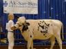 Several Lancaster County 4-H'ers earned purple ribbons and top placings at last year's Ak-Sar-Ben 4-H Expo.