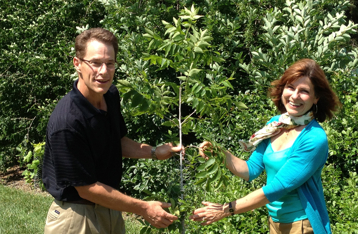 Plant experts Kim Todd and Justin Evertson stand next to a bitternut hickory tree on East Campus. The duo will lead the "Beneficial Backyards" Sunday with a Scientist program on July 21.