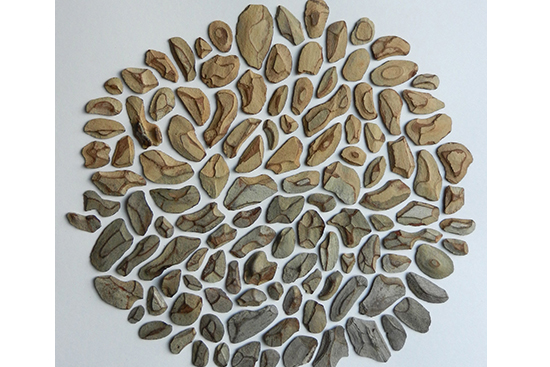 Kay Wilwerding, "Gradient," tree bark, 10" x 10', 2013.