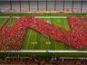 UNL's Class of 2017 takes shape during welcome back activities at Memorial Stadium on Aug. 23. (photo by Craig Chandler, University Communications