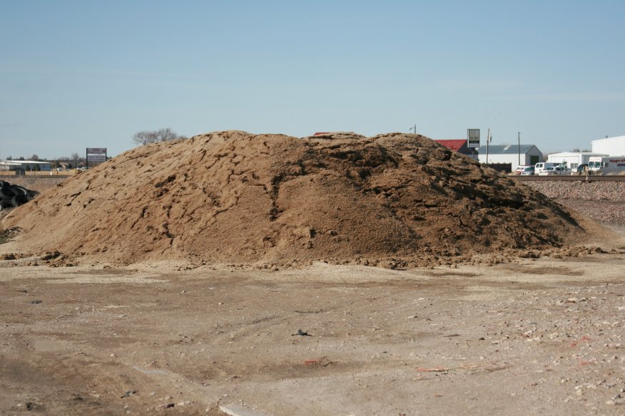 Beet pulp is an economical energy source for beef cows. Photo coutesy of Karla Jenkins.