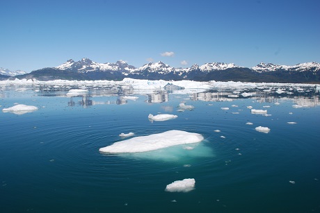 "Thin Ice: The Inside Story of Climate Science" is playing at the Ross Oct. 11-17.