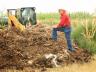 The Nebraska College of Technical Agriculture in Curtis, NE will host a large animal composting demonstration field day on Thursday, Dec. 12.