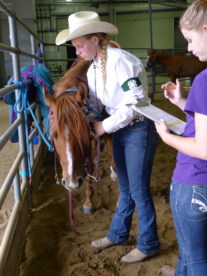 The Nebraska 4-H Horse Program horsemanship advancement levels are designed to serve as guides for instruction  and evaluation of each members progress. The correct handling of horses is emphasized from the beginning level to the  most advanced level.